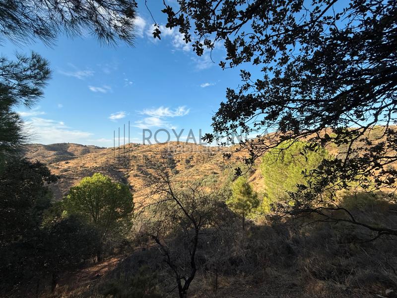 Foto 71516c32-b5c1-4fe1-8a32-c5a2bcff7b3e. Bauernhof mit kamin in Carratraca