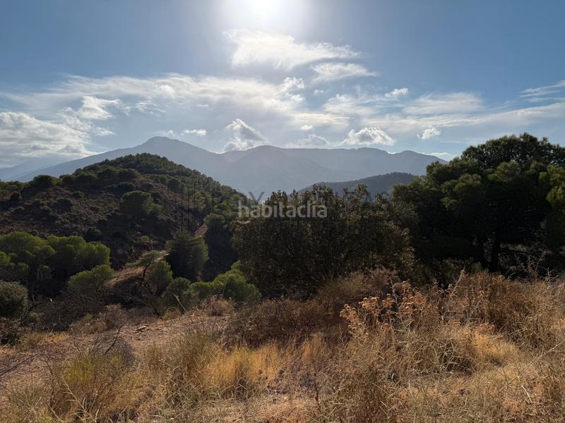 Foto 9a1a0d26-af8e-4741-ad5f-e2542c8417c2. Bauernhof mit kamin in Carratraca