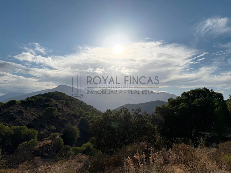 Foto ba7bdba4-5305-4362-9900-23d94371bacf. Bauernhof mit kamin in Carratraca