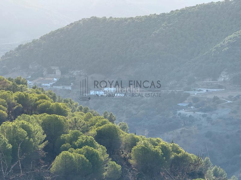 Foto e81e4c65-1c31-4aa9-a0ec-44ed438b80b3. Bauernhof mit kamin in Carratraca