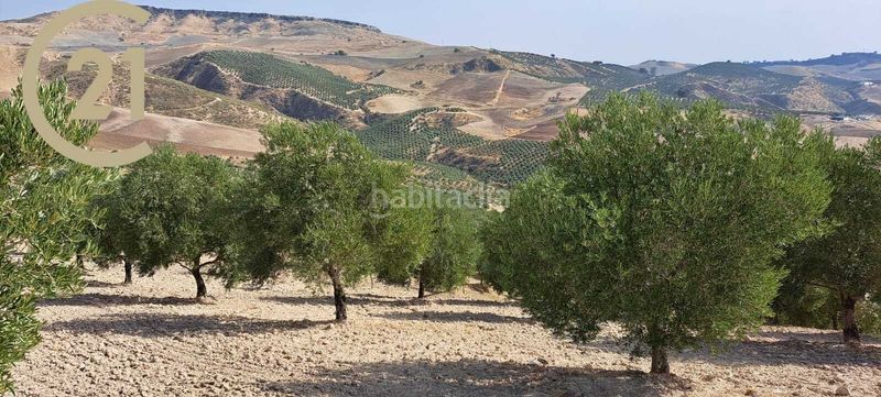 Foto a63bdb61-163f-4fb0-b895-babcfcb292a7. Finca rústica a ma-8407 2 a Montecorto