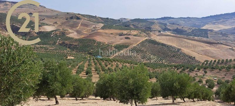 Foto c22a740d-2e33-4586-b49a-345009472ea8. Finca rústica a ma-8407 2 a Montecorto