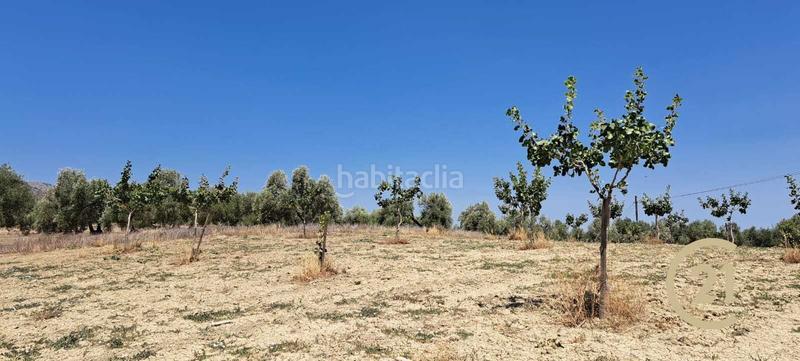 Foto b7a434b3-a01d-4f14-b9cc-0f703d9ce5f0. Propriété dans calle grande 2 dans Cañete la Real