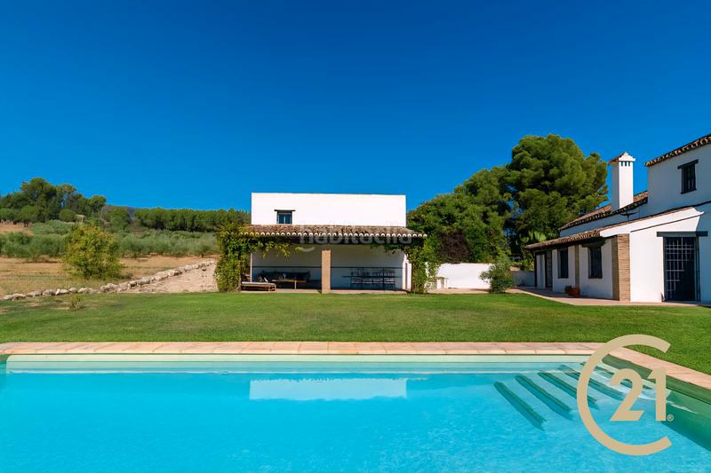 Foto 476effd9-870a-42f7-960d-a14d2180b90d. Xalet a partida sanguijuela 6 a Partidas Norte Ronda