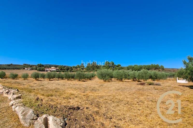 Foto 889d794b-4842-4cd3-a7aa-a331125e33ed. Xalet a partida sanguijuela 6 a Partidas Norte Ronda