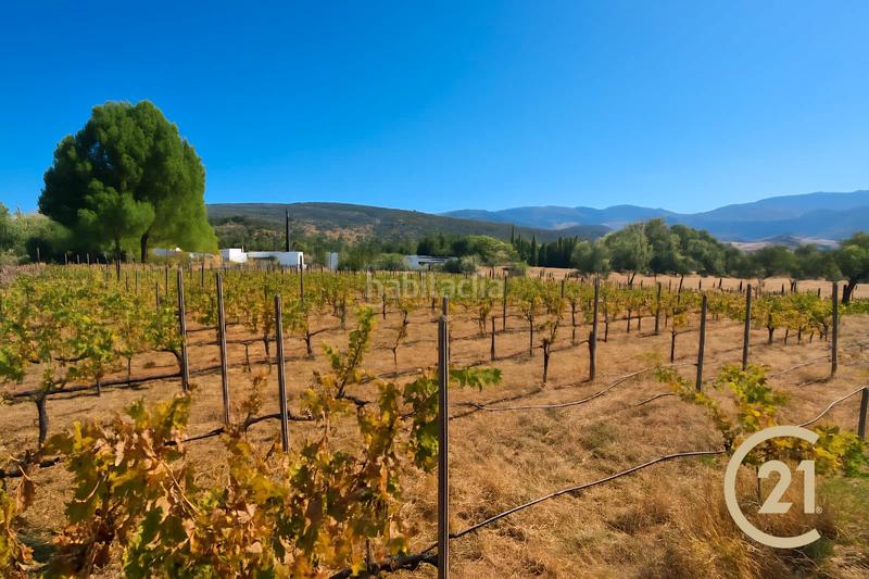 Foto a9b85609-fca6-446f-9105-ce7233ef75ef. Xalet a partida sanguijuela 6 a Partidas Norte Ronda