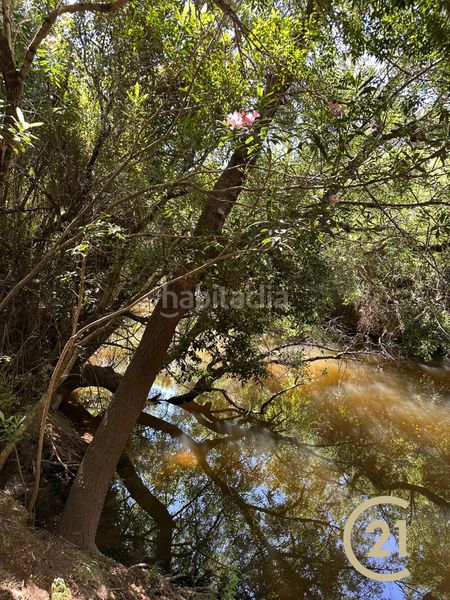 Foto a50ffe81-8dff-42a8-8428-7440d836f15b. Finca rústica a n/a a Benalup