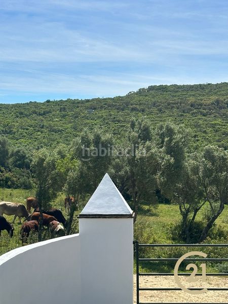 Foto ed5e096d-e916-4879-b4ef-2ab4c6c6b78f. Finca rústica a n/a a Benalup