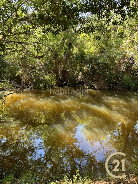 Foto ff31131c-7351-4764-9f00-00278770304e. Finca rústica a n/a a Benalup