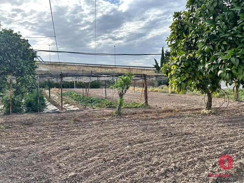 Foto c2862e2c-f987-4c39-915a-dbb0d3483514. Masia amb aparcament piscina a Alcolea Córdoba