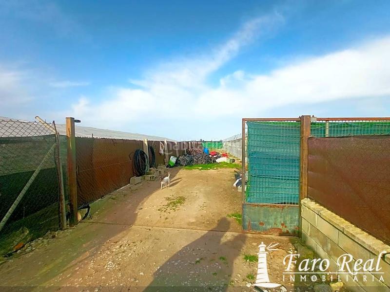 Foto 128e7cae-44e7-4227-b358-a47d841b8fb3. Mas dans La Jara Sanlúcar de Barrameda