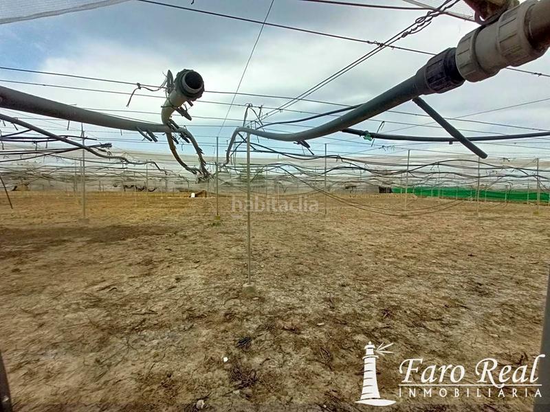 Foto 32c84772-9c20-47a7-8f5a-2baac3135349. Mas dans La Jara Sanlúcar de Barrameda