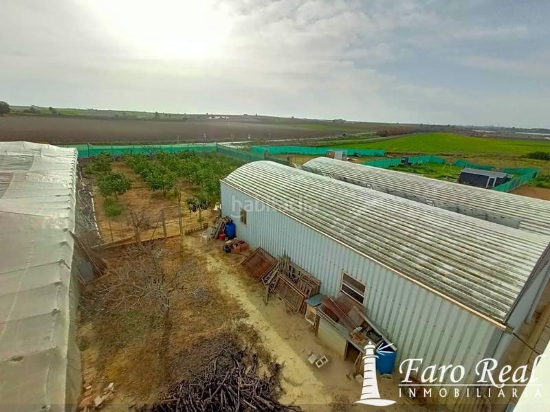 Foto 5110002e-4031-42af-ac97-07820a404e24. Mas dans La Jara Sanlúcar de Barrameda