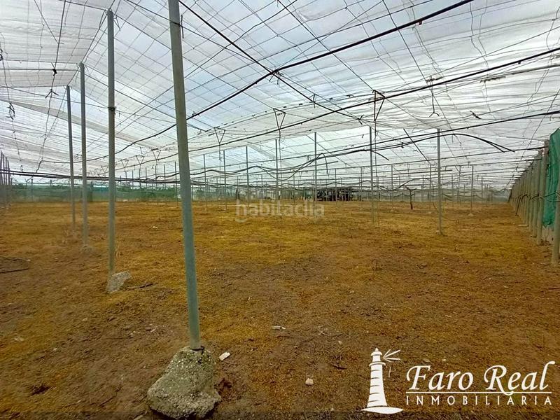 Foto 712a3ba3-7789-40f0-82cb-6eba6169c7d9. Mas dans La Jara Sanlúcar de Barrameda