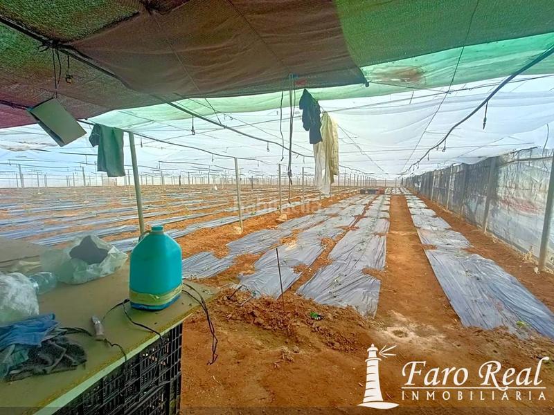 Foto bcc2bc92-6558-47d4-a42c-dc7e6f3fc59c. Mas dans La Jara Sanlúcar de Barrameda