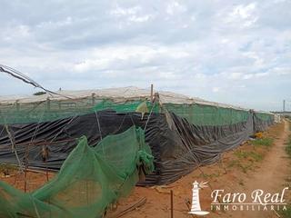 Terreny residencial a Chipiona Norte. Finca rustica, excelente finca rustic con tierras de primera cal