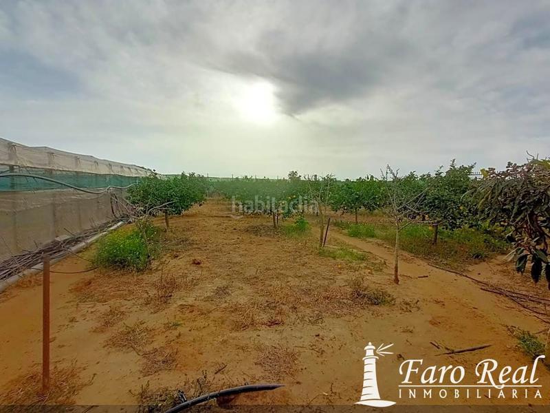 Foto 178b52c8-2624-42f5-b95b-37a6840a6c15. Casale in La Jara Sanlúcar de Barrameda