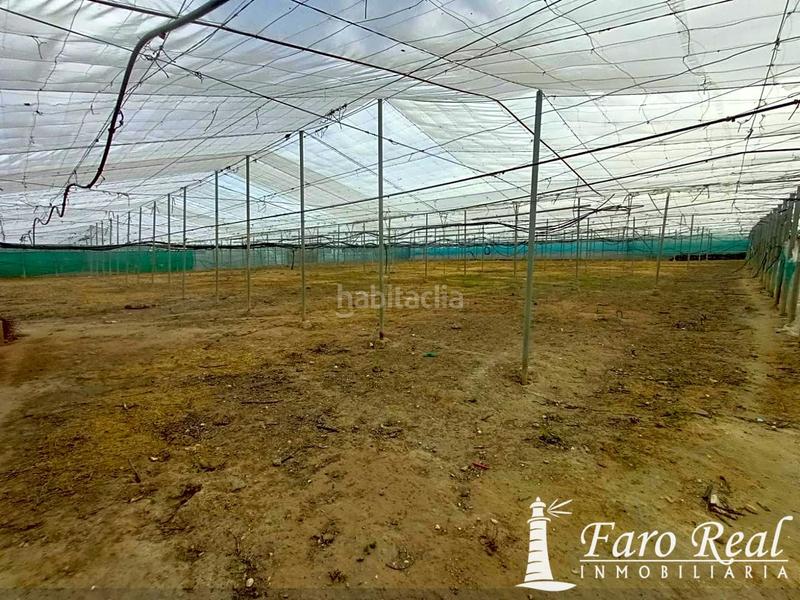 Foto 1d32333c-6b78-4da9-a659-98fac9bab942. Casale in La Jara Sanlúcar de Barrameda
