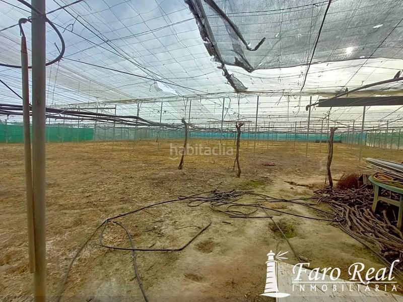 Foto dd0adb36-b7a7-4401-9653-be76eaf0bb86. Casale in La Jara Sanlúcar de Barrameda