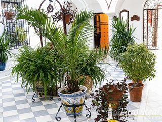 Casa adossada a Centro-Calzada-Cabo Noval. Casa señorial en el casco histórico