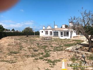 Masia a Chipiona Norte. Pago santo domingo