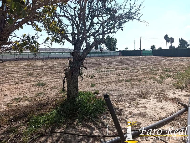 Foto ce2b2897-8677-4c4b-b8da-72436c91bba4. Masia amb aparcament a Chipiona norte Chipiona