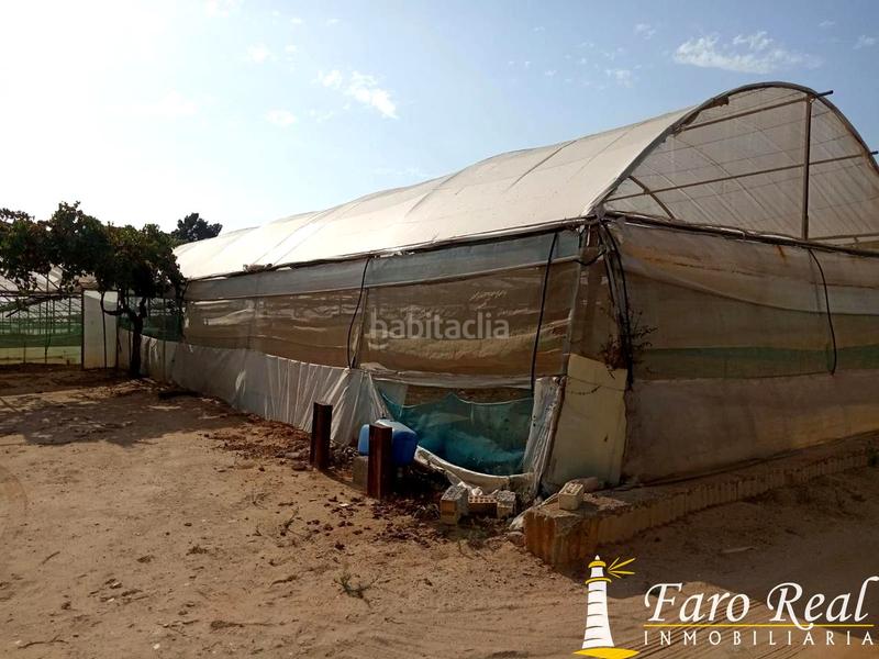 Foto 2f9a32ba-f964-4fe7-addc-25c3306a1070. Wohngrundstück in La Jara Sanlúcar de Barrameda