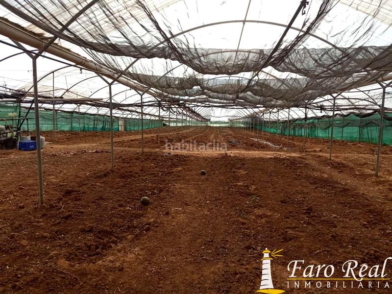 Foto 4a6518d3-de82-4649-849a-abef9ca61f7a. Wohngrundstück in La Jara Sanlúcar de Barrameda