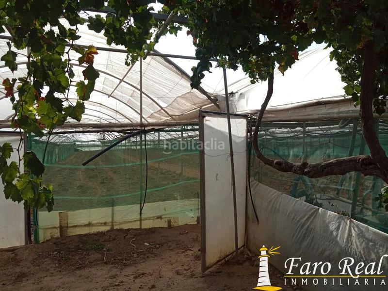 Foto 5919ce65-2d79-48c6-bc2e-87d781c13bbe. Wohngrundstück in La Jara Sanlúcar de Barrameda