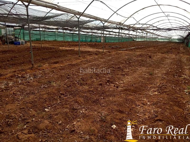 Foto a30a6dac-7972-499c-b850-cdbf71ea7cf3. Wohngrundstück in La Jara Sanlúcar de Barrameda