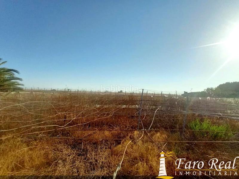 Foto 21158645-3208-4de3-a680-3fd4aad0869b. Masía finca rustica en zona ctra chipionamunive en Sanlúcar de Barrameda