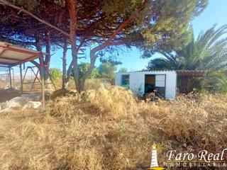Bauernhof in La Jara. Finca rustica en zona ctra chipionamunive