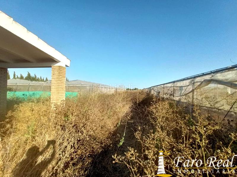 Foto b9dcf7f2-8213-4d95-94cb-a582573fa43e. Masía finca rustica en zona ctra chipionamunive en Sanlúcar de Barrameda