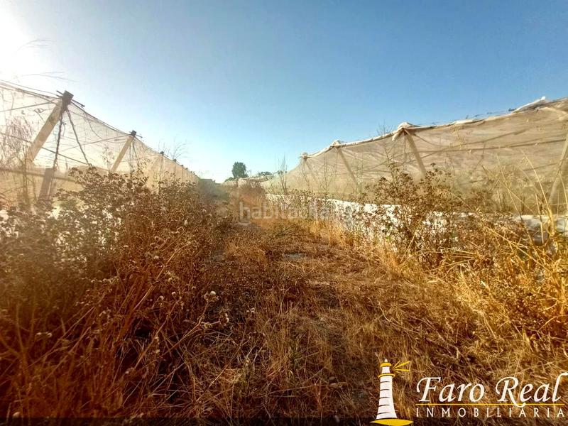 Foto bfddff40-51ec-4c20-97eb-a1ff5e3f2d3c. Masía finca rustica en zona ctra chipionamunive en Sanlúcar de Barrameda