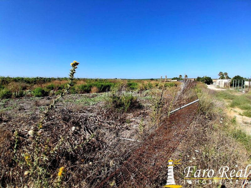 Foto 419e5298-d556-4fb4-8662-76604a76e5dc. Finca rústica a Las Palmeras-Dehesilla Sanlúcar de Barrameda