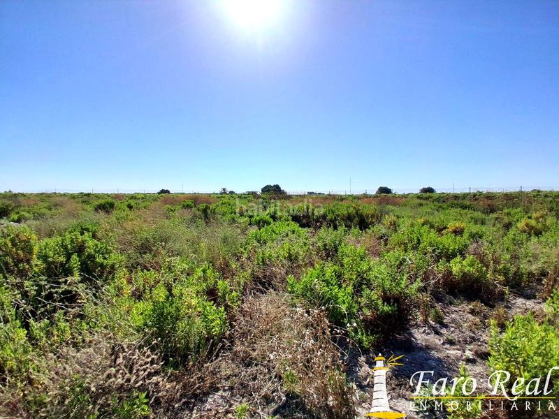Foto 5914bcda-1f40-4a20-a432-c9a7a488578e. Finca rústica a Las Palmeras-Dehesilla Sanlúcar de Barrameda