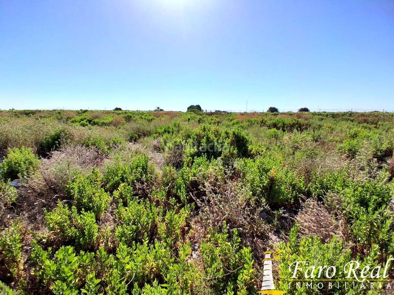 Foto 727afeba-a81d-49b2-af97-4abc477874f3. Finca rústica a Las Palmeras-Dehesilla Sanlúcar de Barrameda