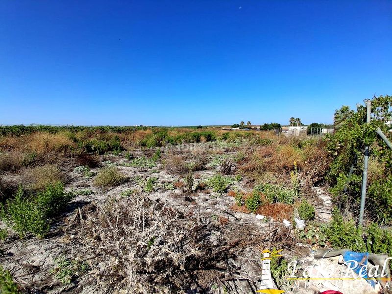 Foto fa3ea4aa-d390-4182-9448-1afdd9b1db22. Finca rústica a Las Palmeras-Dehesilla Sanlúcar de Barrameda
