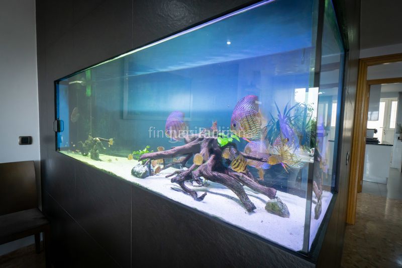 Foto a4743db0-a6cc-4eb2-a1b1-2959e1787f88. Pis a Llombai Burriana