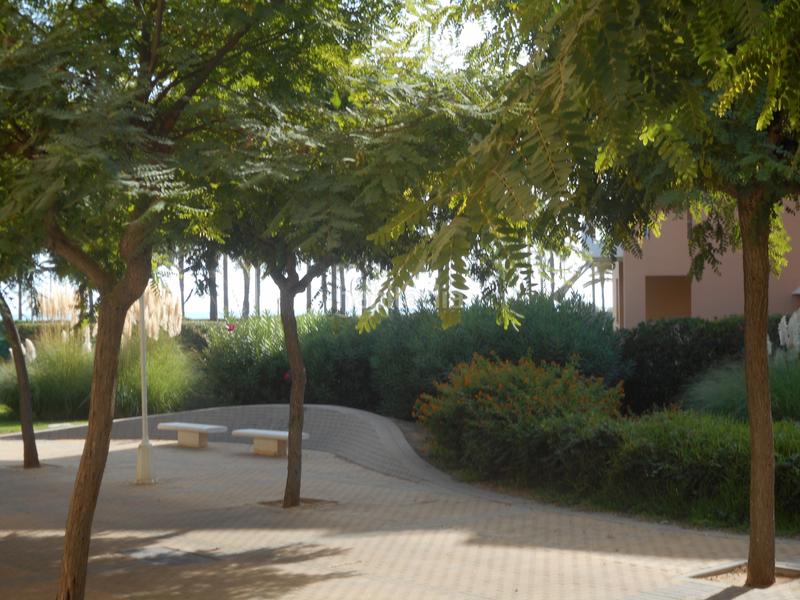 Foto 25ba172d-65b0-4620-bea2-571776f94182. Appartement dans avenida de Islantilla 5 dans Islantilla costa Islantilla