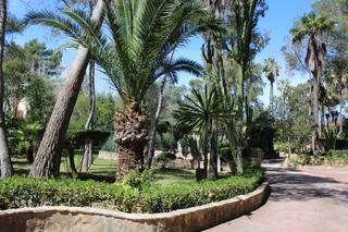 Maison  Avinguda son oliver vial b. Se vende magnfica finca en son oliver