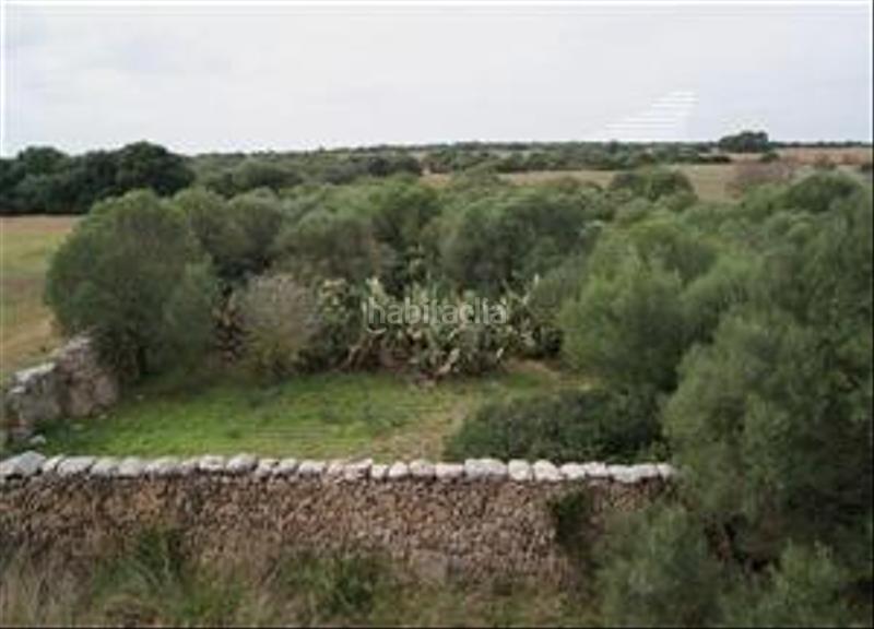 Foto 1c147894-ab6e-46a2-ac75-c624ee384c69. Finca rústica a Cala Pi-Vallgornera Llucmajor