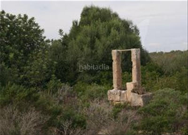 Foto 77e18633-6c99-4fe4-8c83-2803603f0ab4. Finca rústica a Cala Pi-Vallgornera Llucmajor
