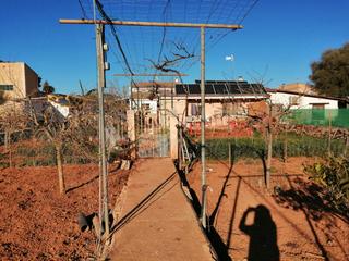 Rural plot in Llucmajor Interior. Se vende chalet con terreno en llucmajor