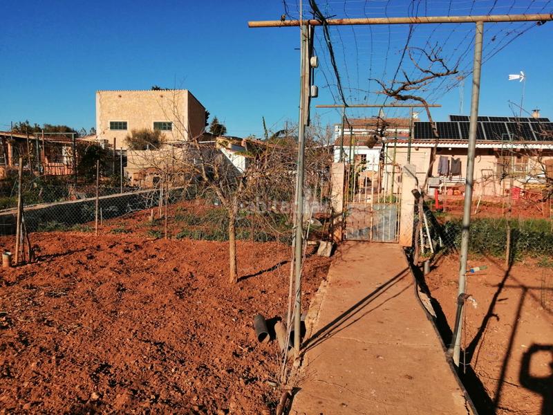 Foto 26b46449-1962-46ce-91f1-e780b87a7787. Finca rústica a Llucmajor interior Llucmajor