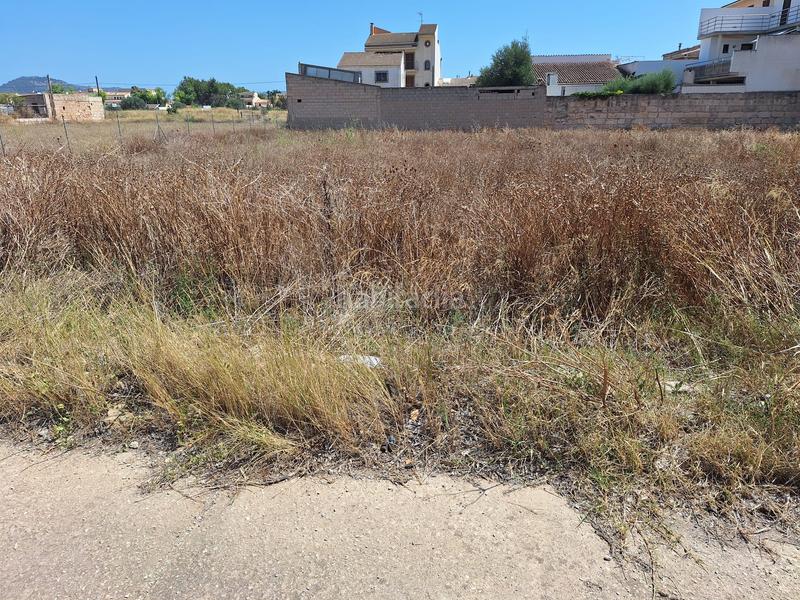 Foto 258e5a06-8167-4326-b2d0-32aa759c539b. Terreny residencial a Sa Pobla