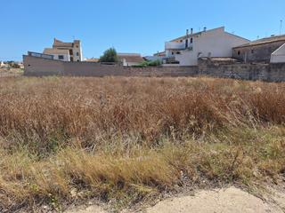 Terreny residencial a Sa Pobla. Se vende terreno urbanizable en sa pobla