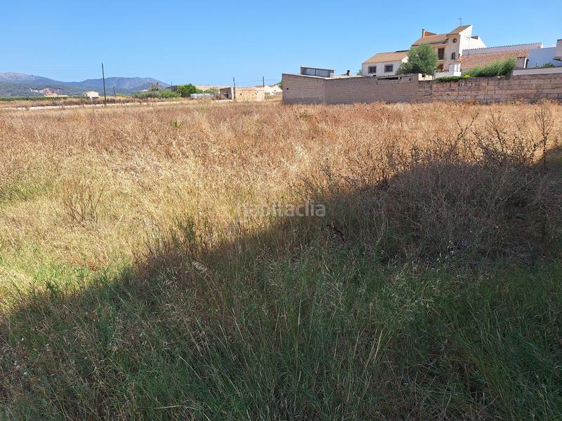 Foto a2c610b3-e55d-4977-88fb-7b672d0b83ad. Terreny residencial a Sa Pobla