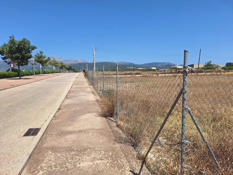 Foto a4c45dff-3947-48a2-b1bc-3f9698826f2c. Terreny residencial a Sa Pobla
