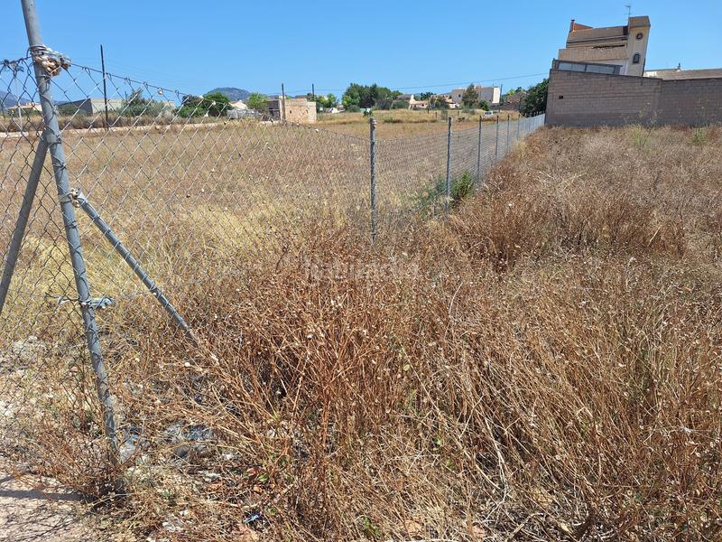 Foto c00b03d6-1ee2-4c02-b2d2-d54664614387. Terreny residencial a Sa Pobla